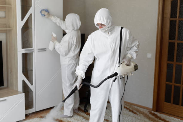 Best Mold Damage Repair  in Stockton University, NJ